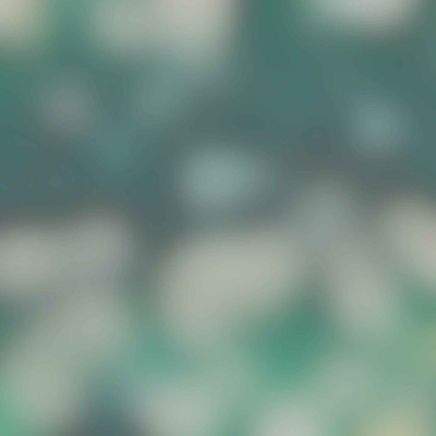 Lorem ipsum dolor sit amet